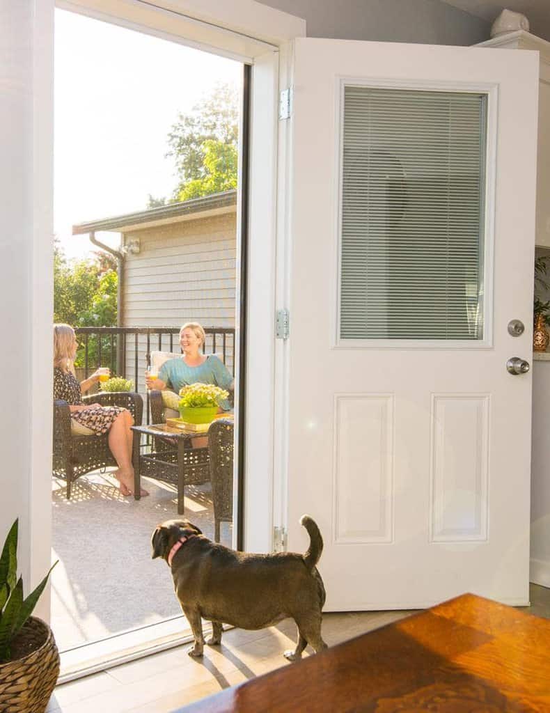A dog protected by the security window alongside a pet door in the back area of the house